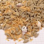 JBL PROTERRA MOLLUSCUS - Imagem 3