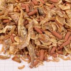 JBL PROTERRA CRUSTARUS - Imagem 2