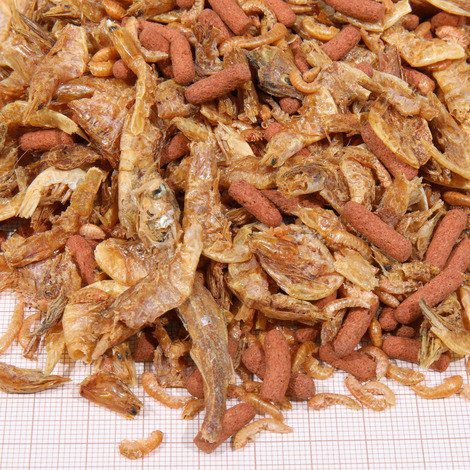 JBL Alimento p/Tartarugas,turtle food,jbl