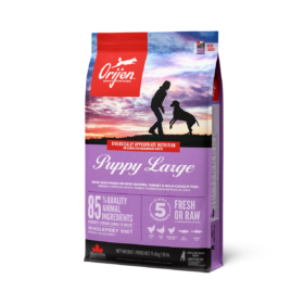 ORIJEN Puppy Large Breed