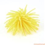 Anémona 6 Cm - Imagem 5