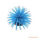 Anémona 6 Cm - Imagem 4