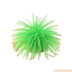 Anémona 6 Cm - Imagem 2