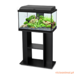 Aquário Aquadream - Imagem 3