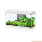 Aquário Aquadream - Imagem 2