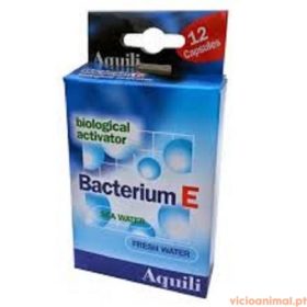 Aquili Bacterium E