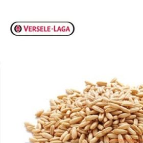 Aveia Descascada 1 Kg