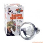 Repti Basking Spot Lamp