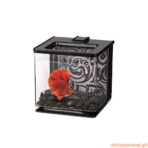 Marina Betta EZ Care - Imagem 2