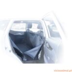 Capa Protecção Go-UP