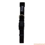 Coleira Nylon Basic Freedog - Imagem 9