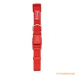 Coleira Nylon Basic Freedog - Imagem 12