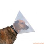 Colar Isabelino - Imagem 2