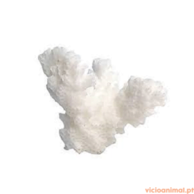 Decoração Coral Branco