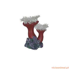 Coral de Pólipos c/ base