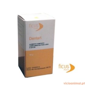 Dentart 50 gr