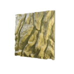 Habitat Terrário Exo Terra Tall - Imagem 2