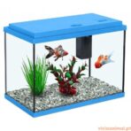 Aquário Funny Fish 35 - Imagem 4