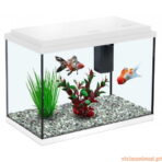 Aquário Funny Fish 35 - Imagem 5