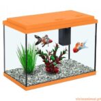 Aquário Funny Fish 35 - Imagem 3