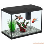 Aquário Funny Fish 35 - Imagem 6