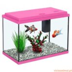 Aquário Funny Fish 35 - Imagem 2