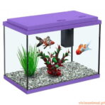 Aquário Funny Fish 35