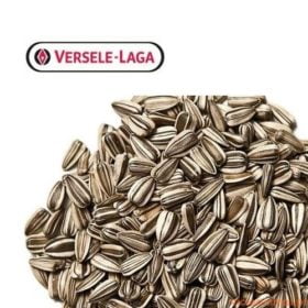 Girassol Raiado 1 Kg