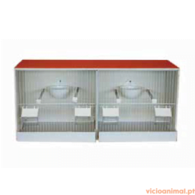 Viveiro Madeira Canário