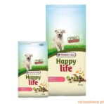 Happy life Adult Lamb