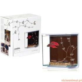 Aquário Kit p/Betta Contemporary