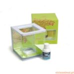 Aquário Kit p/Betta Girl