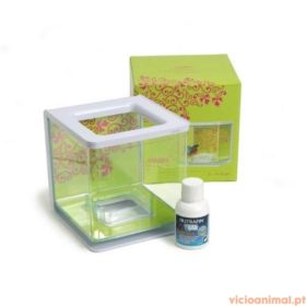 Aquário Kit p/Betta Girl