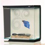 Aquário Kit p/ Betta Zen - Imagem 3