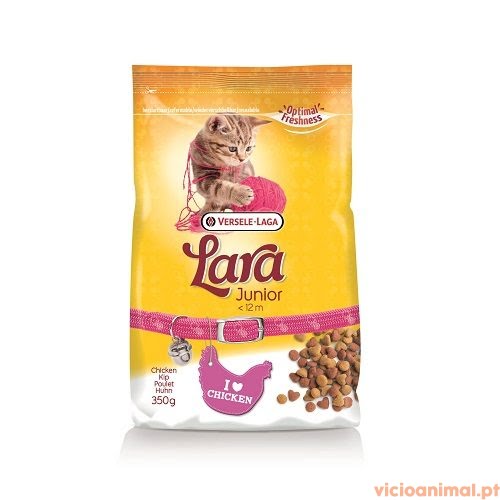 lara junior,lara,versele-laga,gatinhos