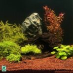 JBL Manado - Imagem 2