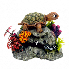 Rocha c/ Tartaruga e Plantas
