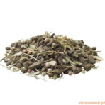 Nature Degu - Imagem 2