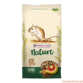 Nature Gerbil