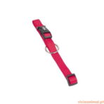 Coleira Nobby Classic