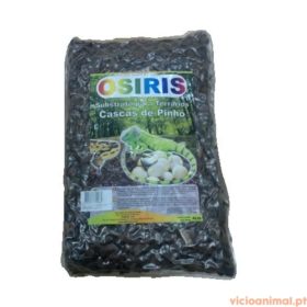 Casca de Pinho Natural