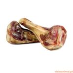 Arquizoo Osso Presunto - Imagem 2