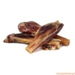 Arquizoo Osso Presunto - Imagem 3