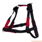 Peitoral de Treino - Lead'N'Walk - Imagem 2