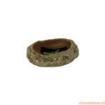 Repti Dish - Imagem 3