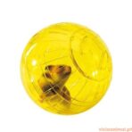 Bola Exercício p/ Hamsters