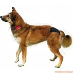 Slips Higiénicos - Imagem 2