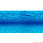 Poster Duplo Seaescape / Natural Mystic - Imagem 3