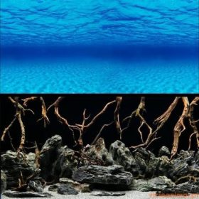 Poster Duplo Seaescape / Natural Mystic