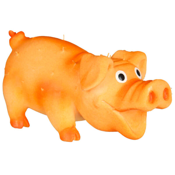 porco,porco em latex,com som